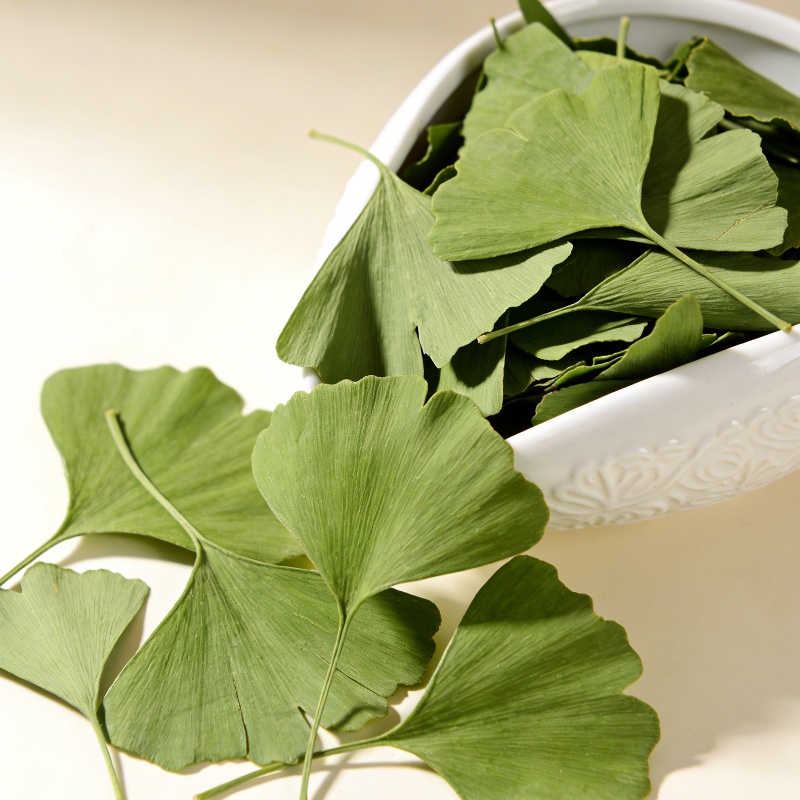 Hojas Secas de Ginkgo Biloba d - Home Fragrance Sachet reseña y precio